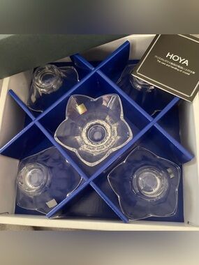 Hoya Clear Glass Crystal- Set of 5